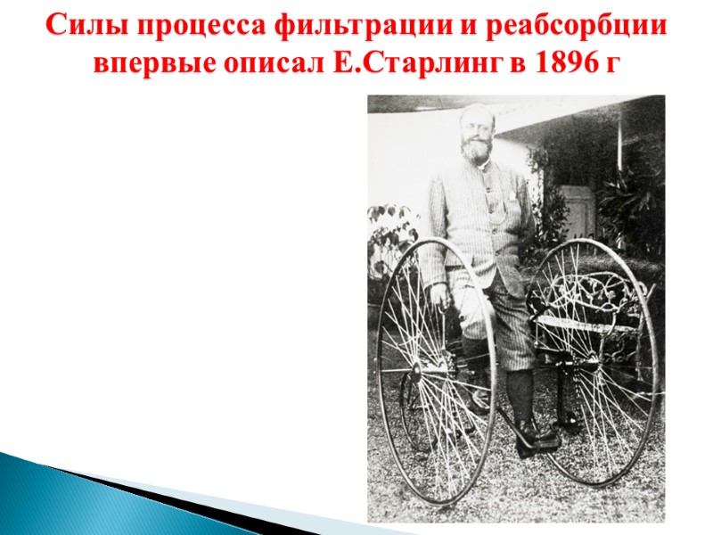 Силы процесса фильтрации и реабсорбции впервые описал Е.Старлинг в 1896 г